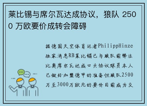 莱比锡与席尔瓦达成协议，狼队 2500 万欧要价成转会障碍