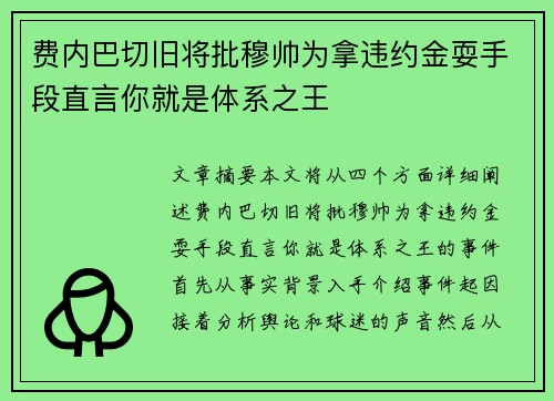 费内巴切旧将批穆帅为拿违约金耍手段直言你就是体系之王